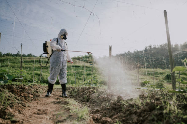Best Affordable Pest Control Services  in Fairplains, NC