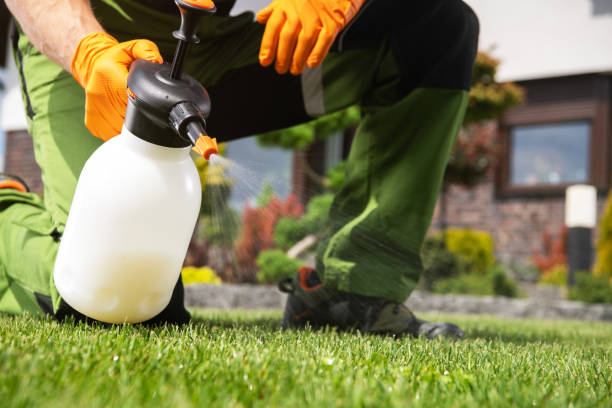  Fairplains, NC Pest Control Pros