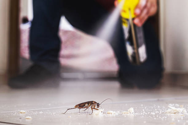 Best Local Pest Control Services  in Fairplains, NC