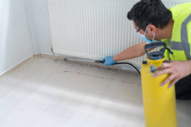 Best Mosquito Control Services  in Fairplains, NC
